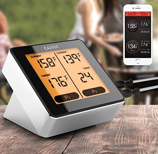 3 Best Smartphone-Enabled Bluetooth Thermometers 2018-2019