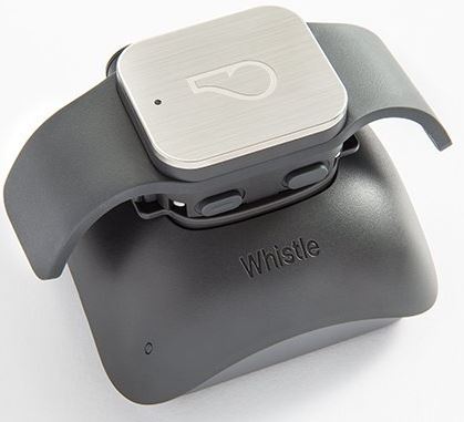 Whistle GPS Pet Tracker