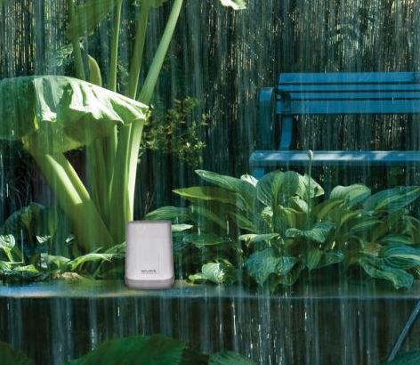 Best Wireless Rain Gauge for 2021: Reviews of the Most Accurate