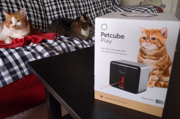 Petcube Play