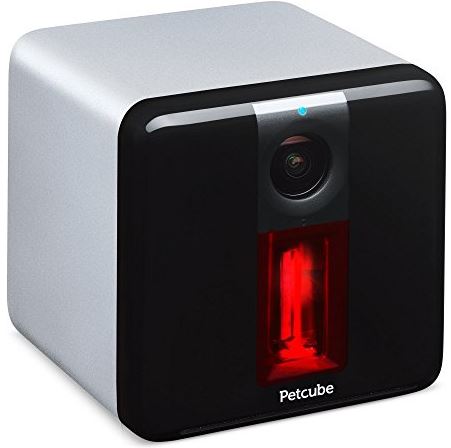 petcube laser pointer