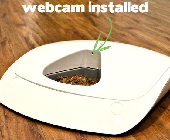 Feed and Go Smart Pet Feeder