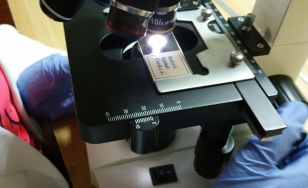 OMAX Digital Lab Compound Microscope