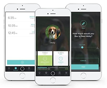 Petnet SmartFeeder