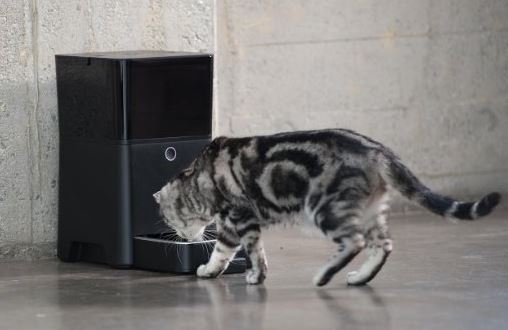 Petnet SmartFeeder