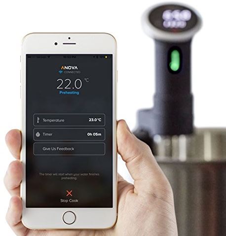 The Best Bluetooth & WiFi Sous Vide Precision Cookers 2021