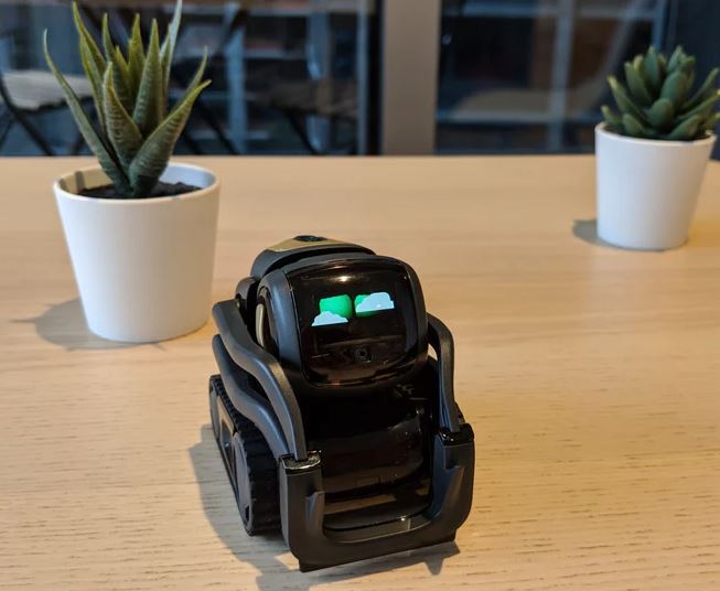 First-Look Review of Vector by Anki - Nerd Techy