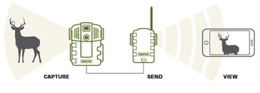 Moultrie Mobile MV2