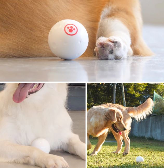 smart ball for dogs