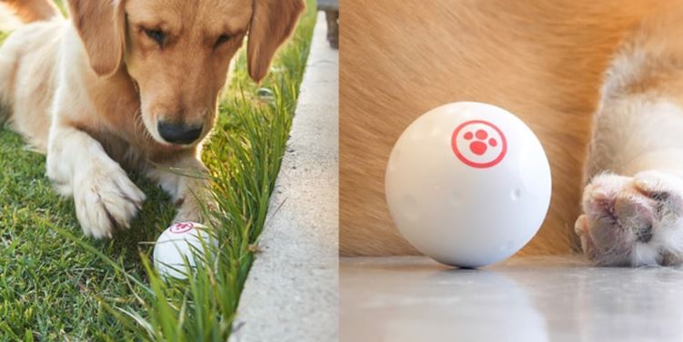 smart ball pet toy