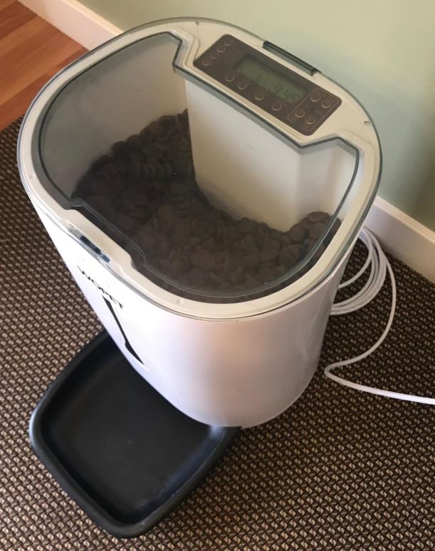 A Detailed Review of the Wopet Automatic Pet Feeder - Nerd Techy