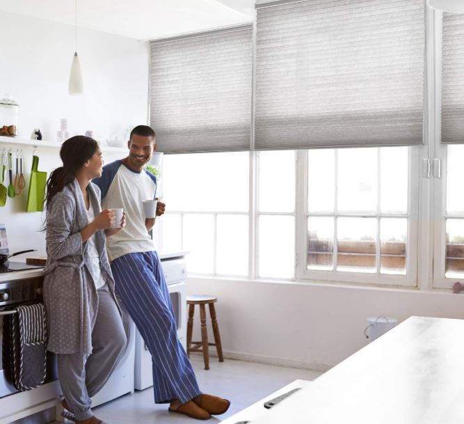 AXIS Gear Smart Blinds