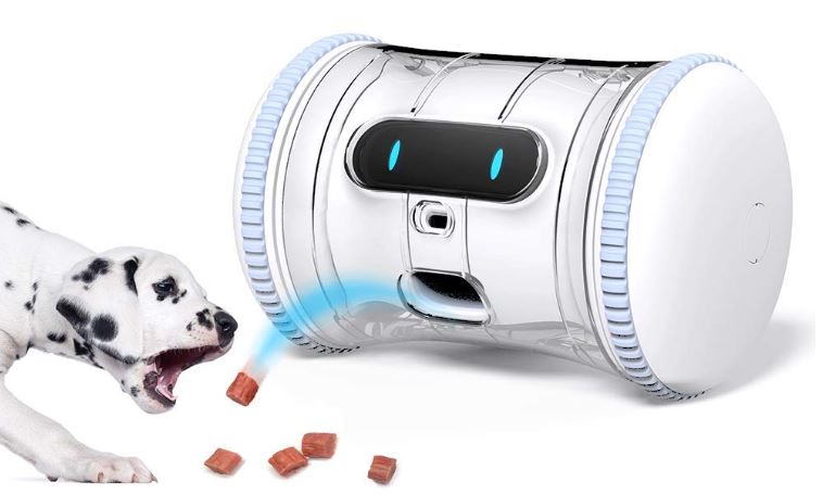 In-Depth Review of the VARRAM Pet Fitness Robot - Nerd Techy