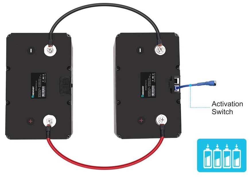 Renogy 12V 100Ah Smart Lithium Iron Phosphate Battery