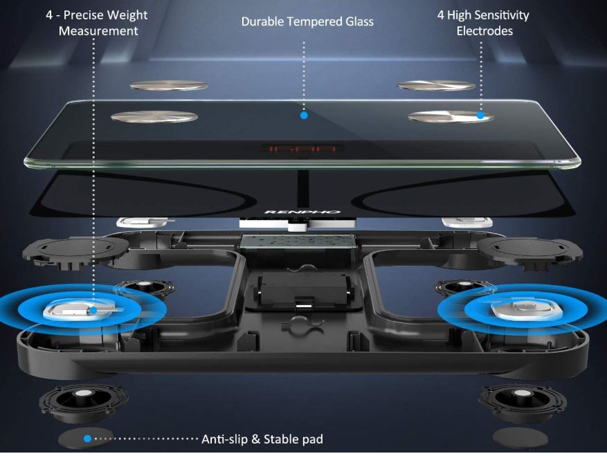 iDOO Vs RENPHO bluetooth bodyfat scale (Video) — Treadaway Training