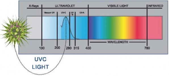UV-C Light Diagram