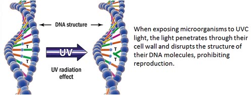 UV-C light explanation