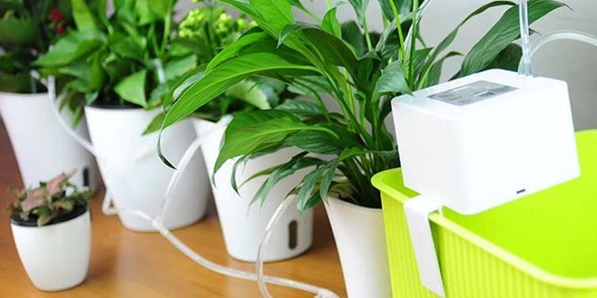 Automatic Indoor/Outdoor Plant Watering System with 2 Self-Watering  Devices