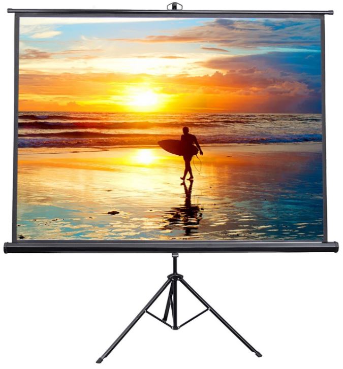 VIVO Portable Projector Screen