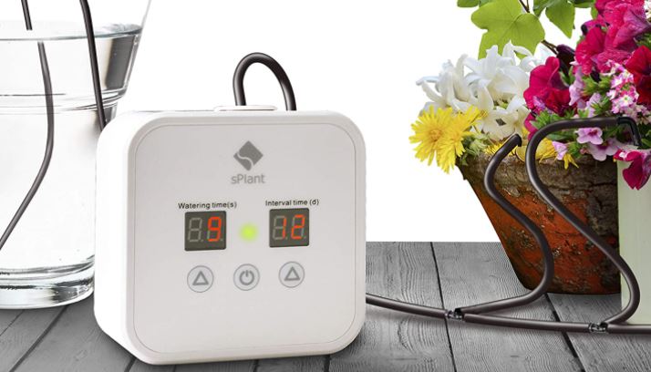 Best Automatic Watering System for Indoor Plants