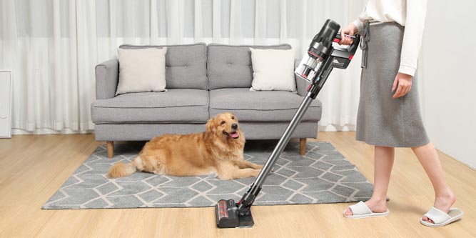 Proscenic P11 Cordless Vacuum Cleaner Review