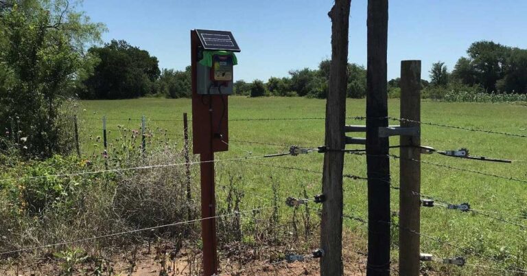 5 Best Solar Electric Fence Chargers [2023 Updated] - Nerd Techy