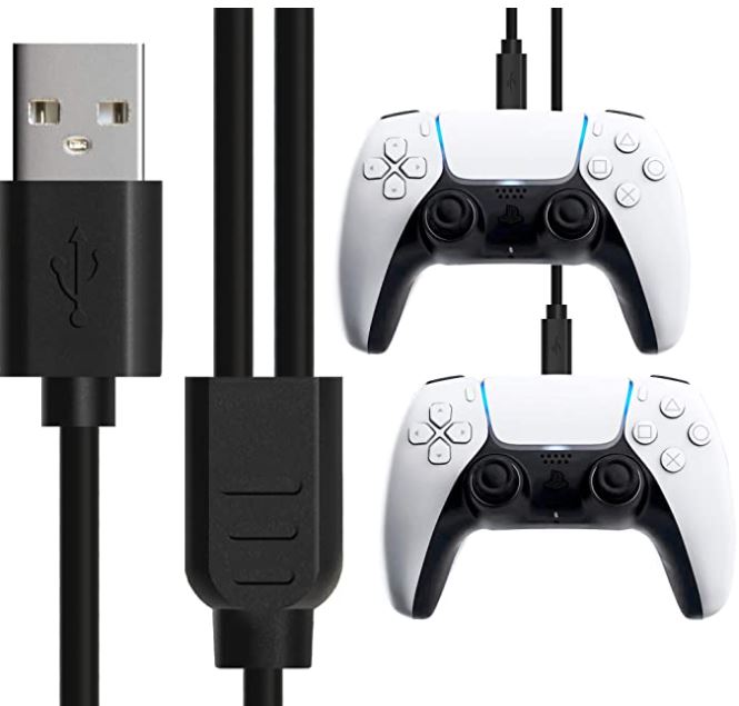 Foamy Lizard Dual USB C Charger Cable