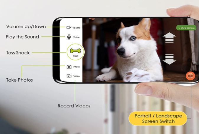 Pet Monitoring Camera Dog Treat Dispenser - CENGCEN Two-Way Audio HD WiFi  Dog Camera with 130 View, Remote Tossing App Compatible with Android/iOS,  Supports Cloud Storage, Night Vision, Wall Mounted