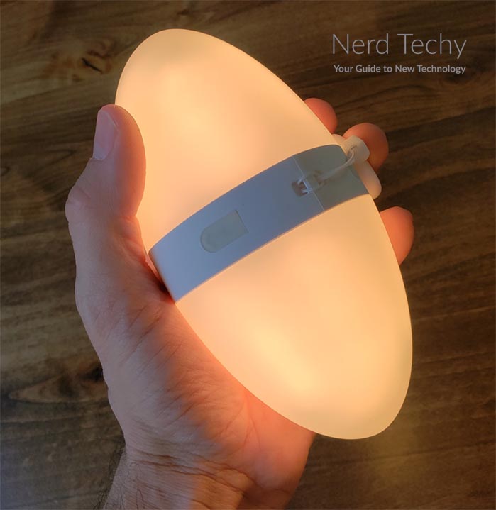 ECOLOR Smart LED Egg Lamp