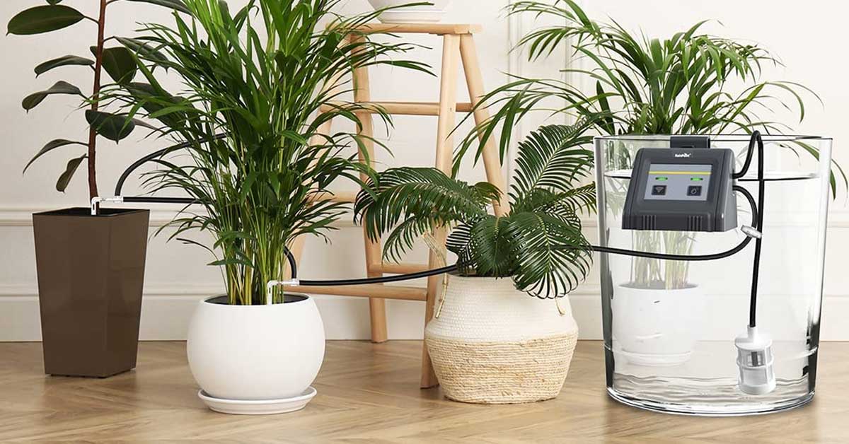 Best Automatic Watering System for Indoor Plants