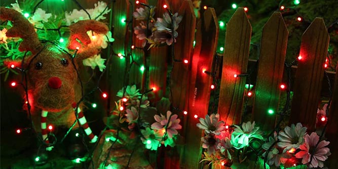 Andre steder kasseapparat Tahiti Best USB-Powered LED Christmas Lights for 2022 - Nerd Techy