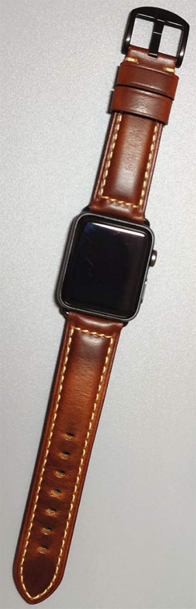 Sansui Leather Apple Watch Band