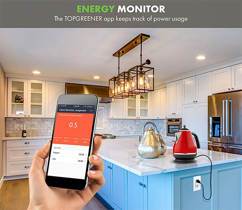 TOPGREENER Smart WiFi Outlet with Energy Monitoring