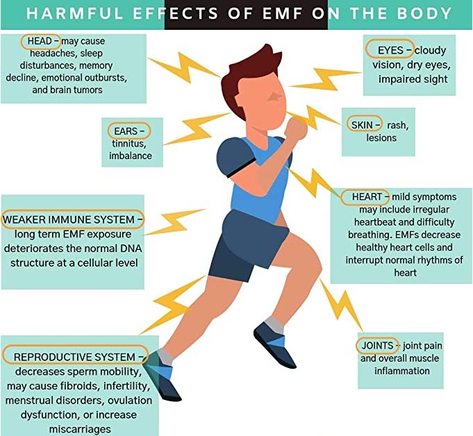 harmful-emf-effects-on-the-body
