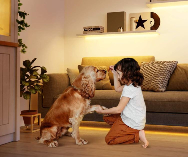 are led strip lights safe for dogs