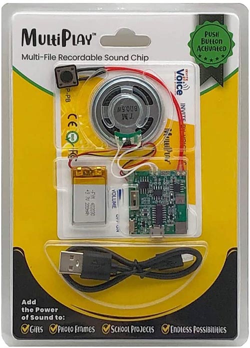 MultiPlay Push Button Recordable Sound Chip