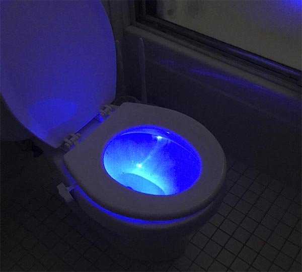 Motion Activated Disco Toilet Bowl Light –