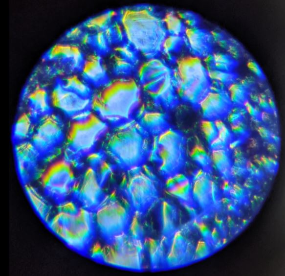 OSCTAN-Intelligent-Microscope image quality sample