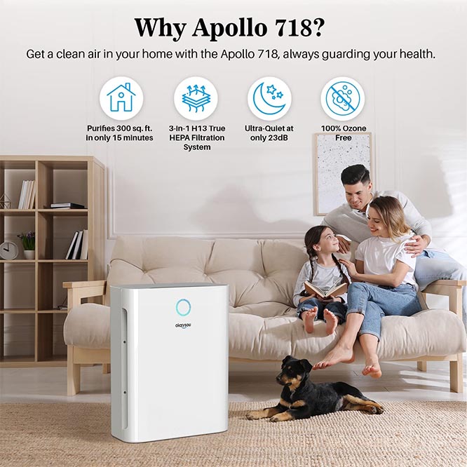 Ozone free on sale air purifier