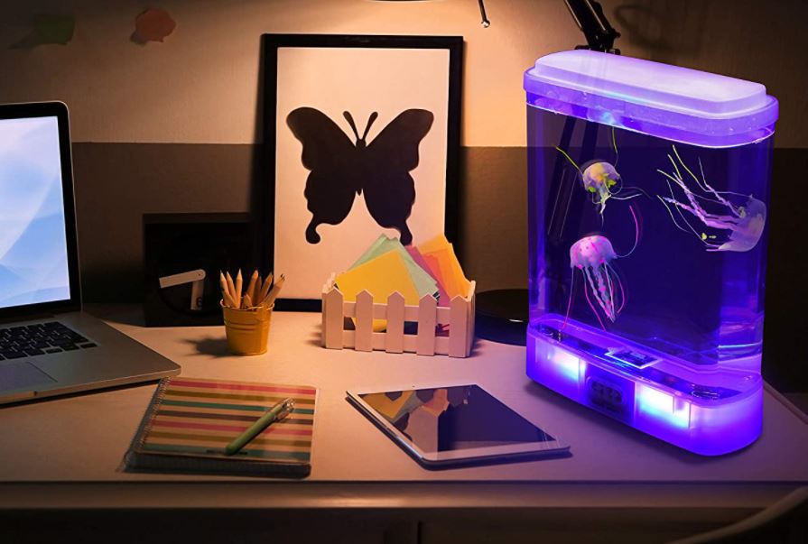 Playlearn Illuminated Jellyfish Lamp