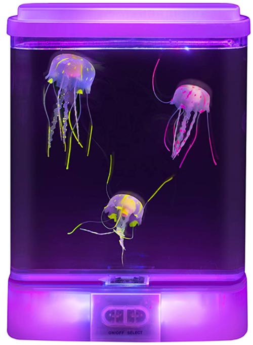 Playlearn Illuminated Jellyfish Lamp