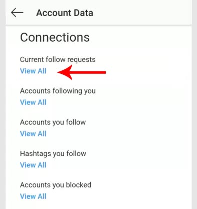 instagram-current-follow-requests