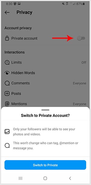 download video instagram private account