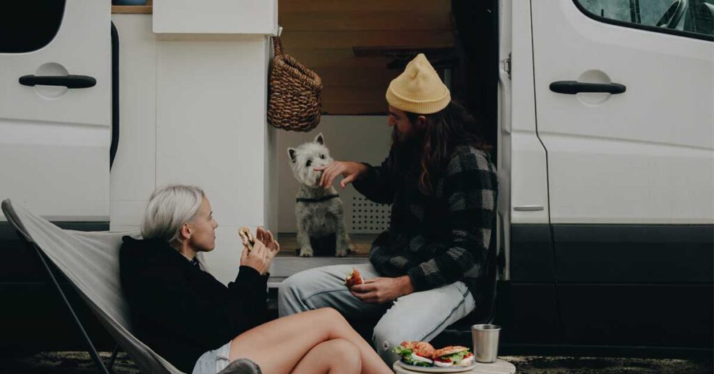 4 Best Wireless Remote RV Pet Safety Temperature Monitors [2023 Updated]