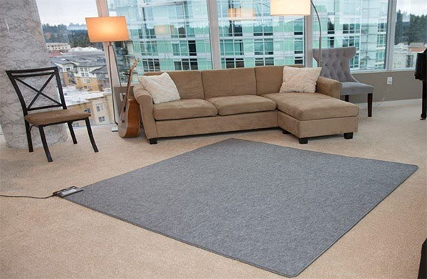 https://nerdtechy.com/wp-content/uploads/2023/01/hot-carpet-woo-warmer-1.jpg