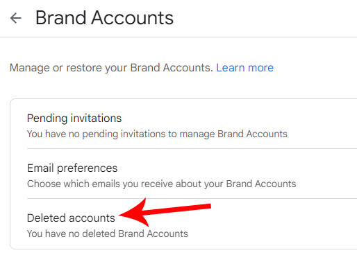 google-brand-accounts