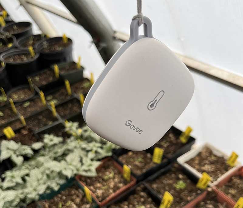 Govee vs. SensorPush Wireless Smart Temperature Sensor - Govee