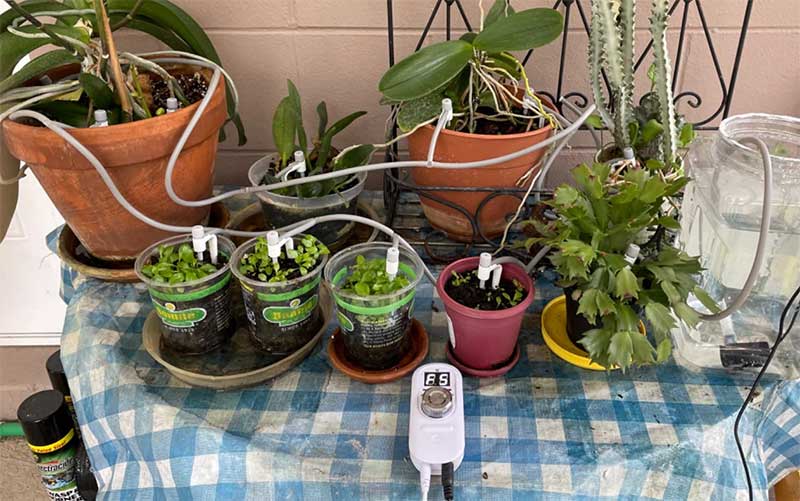 Onsast Automatic Indoor Watering System