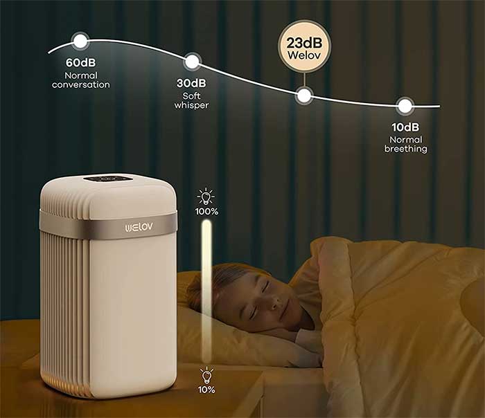 WELOV-P100-Air-Purifier