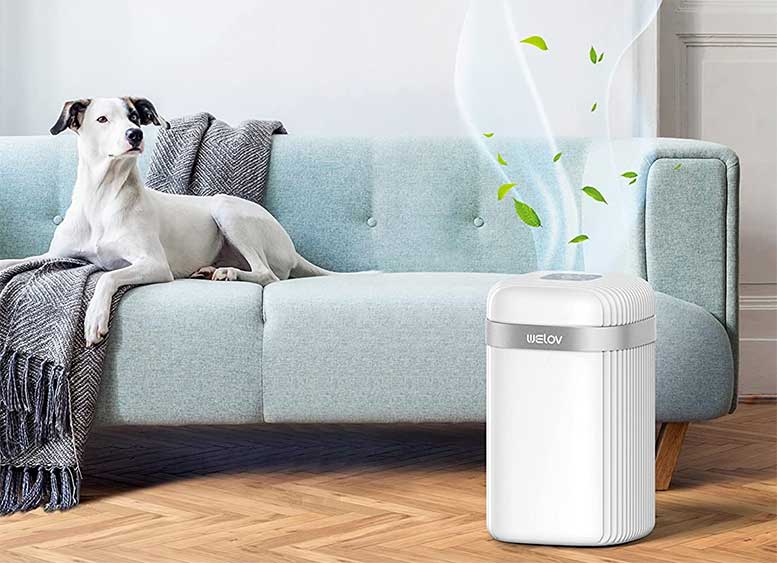 hepa air purifier in home